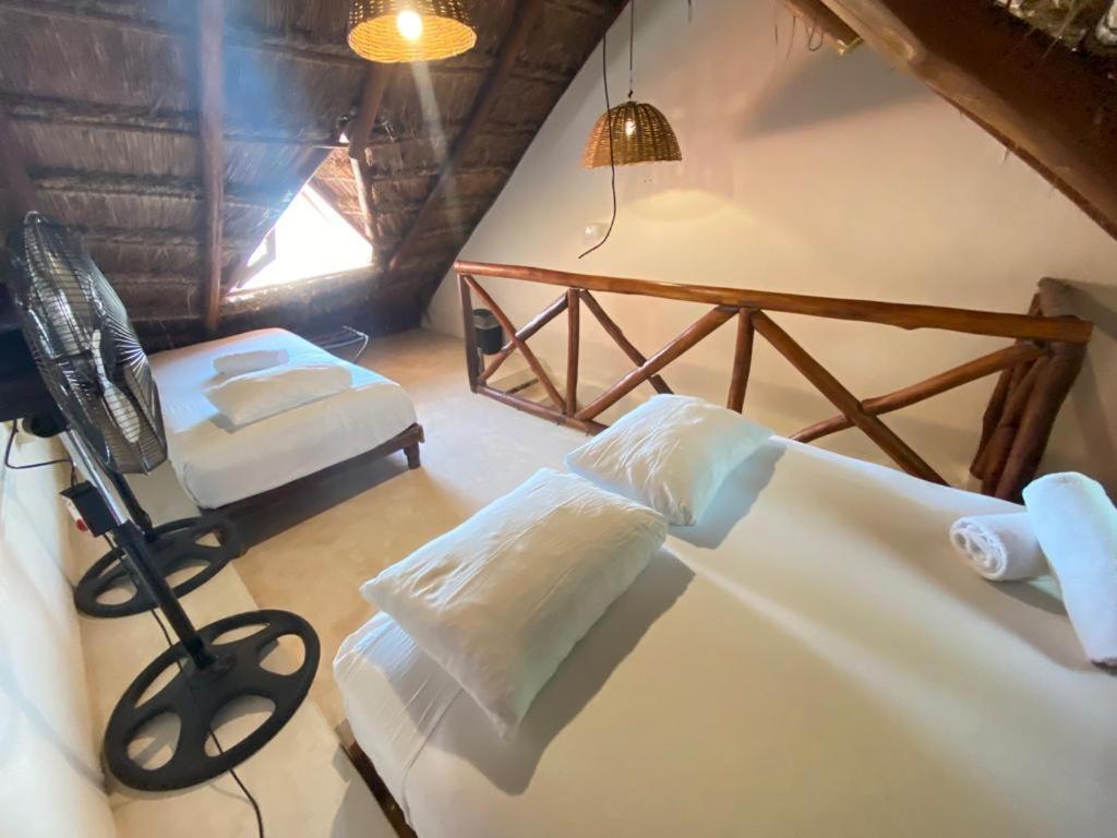 La Constanza De Rulo Hotel Isla Holbox Exterior photo